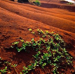 Xbox Series X＆S推出更新 添加派对聊天降噪功能